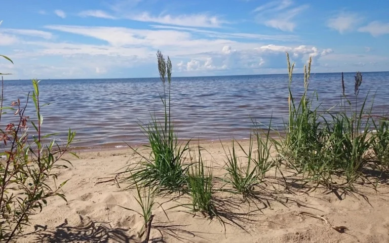 Дрон вибухнув у російському Чудському озері: Естонія відстежувала об’єкт за кілька кілометрів від свого кордону