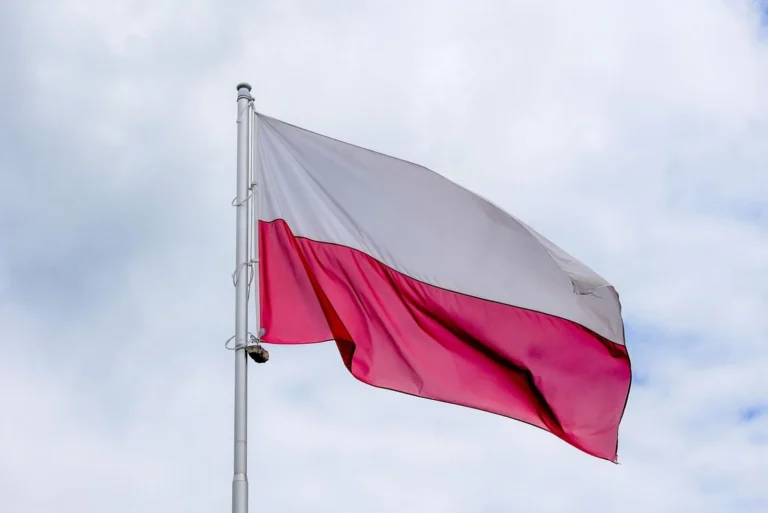 Українські Національні Новини (УНН)