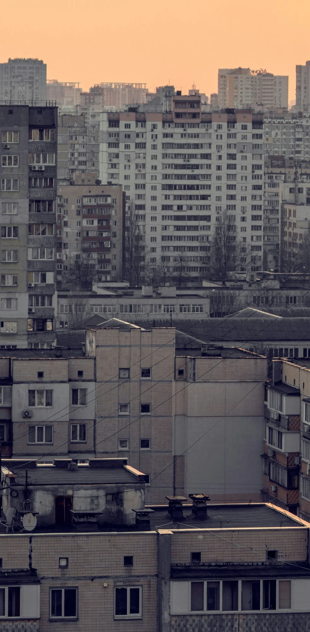 Українські Національні Новини (УНН)