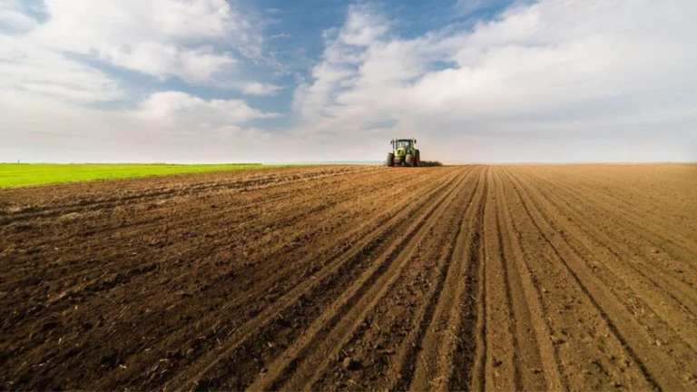 Посівна-2025: Україна засіяла озимими до половини запланованих полів Українські Національні Новини (УНН)